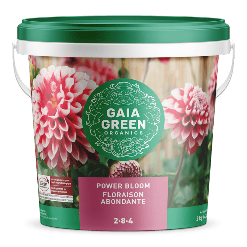 gaia-green-power-bloom-4-plants-indoor-gardening-supply